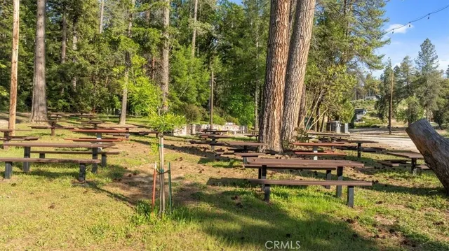 a view of a lake with a yard and trees