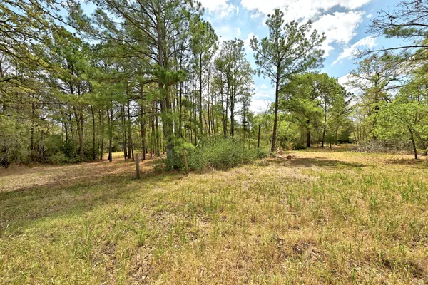 $495,000 | 159 Farris Lane, Smithville, TX 78957