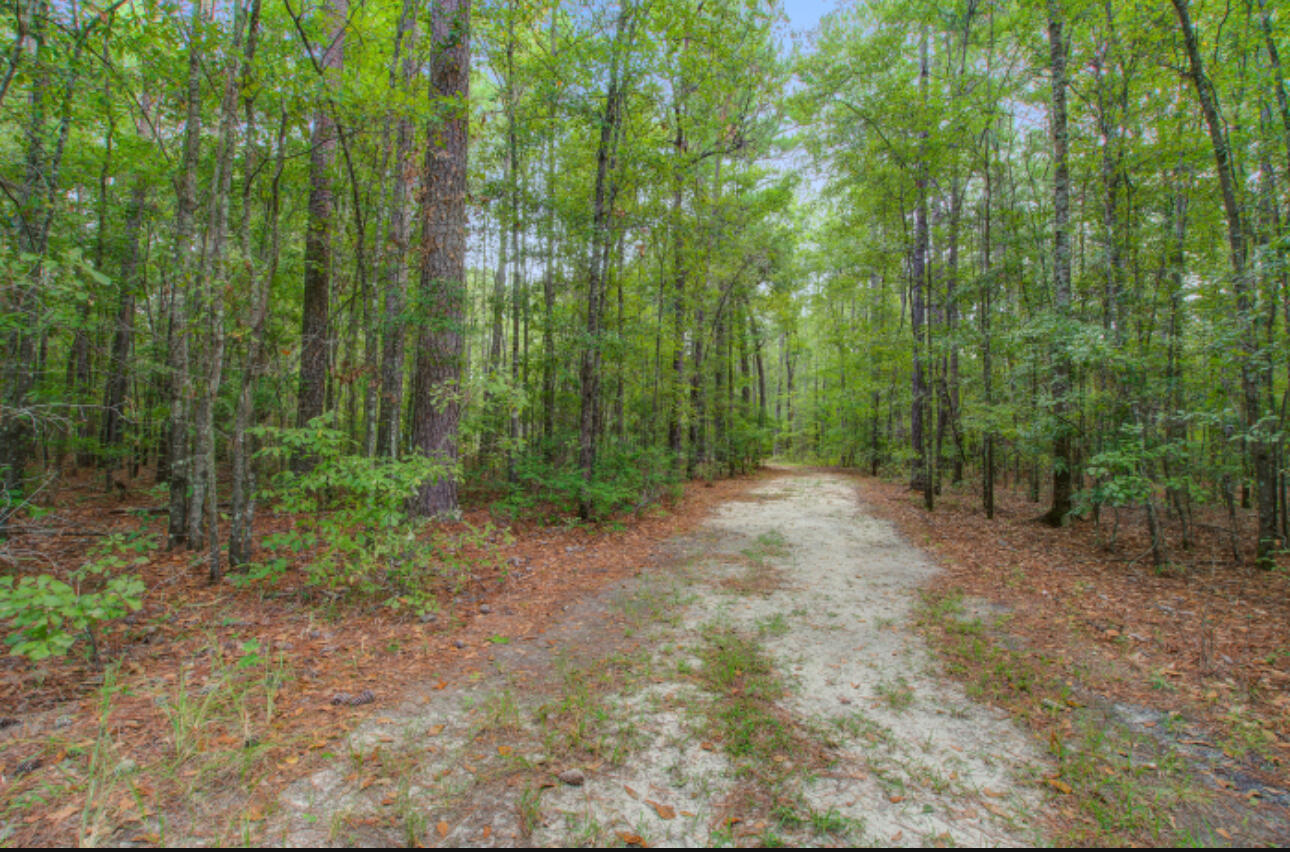 1191 Trojan Road Cross, SC 29436 - Photo 42 of 45 IMG_3387