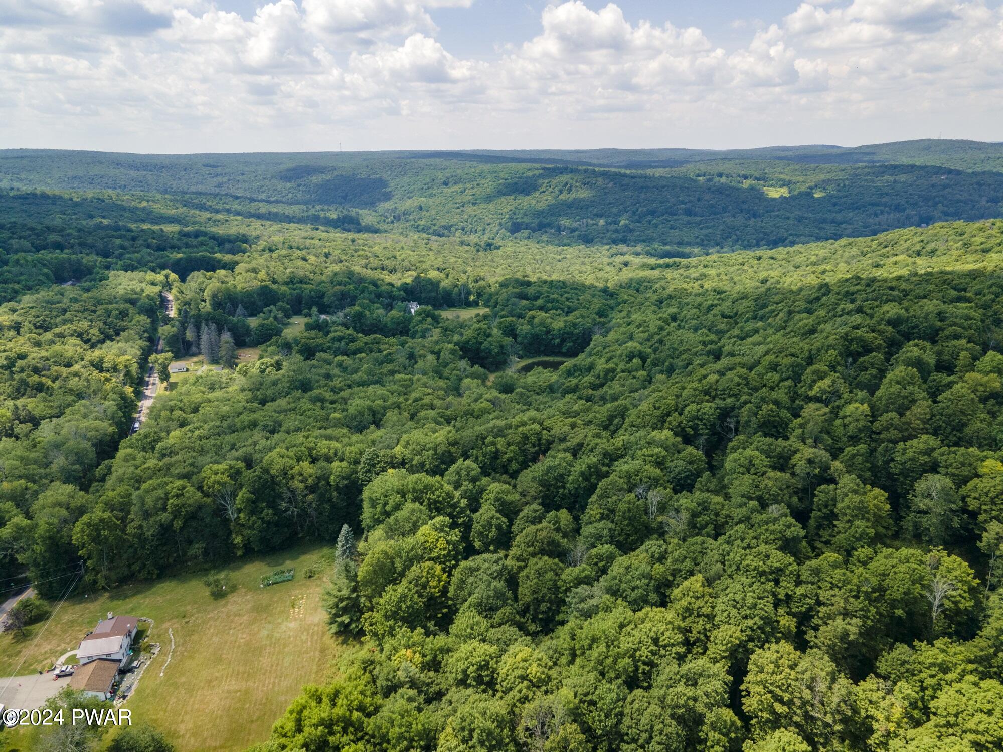 Pine Grove Road Newfoundland, PA 18445 - Photo 11 of 18