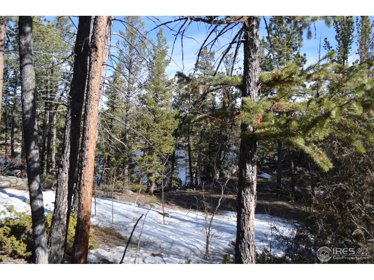 0 Monoma Road Red Feather Lakes, CO 80545 - Photo 9 of 12 Gallery Image 9