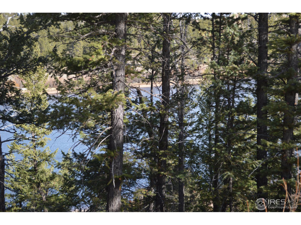 0 Monoma Road Red Feather Lakes, CO 80545 - Photo 10 of 12 Gallery Image 10