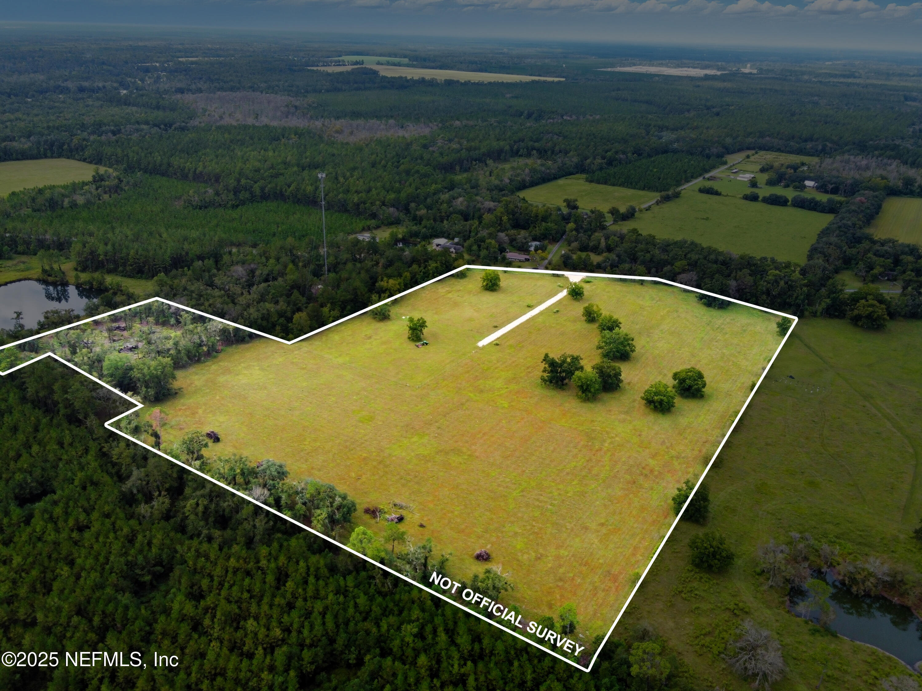 11242 Hogan Road Live Oak, FL 32060 - Photo 13 of 39 DJI_0443_Black & White