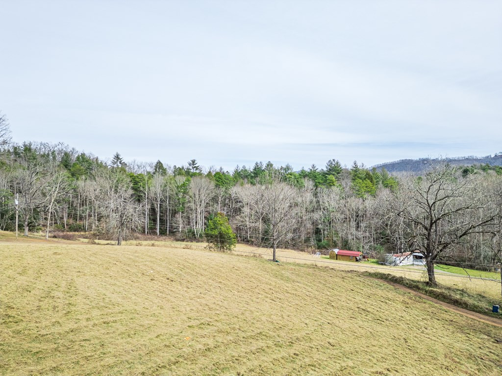 1098 Rowland Hill Road Marble, NC 28905 - Photo 16 of 26