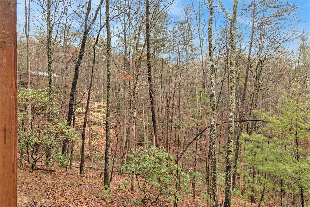 77 Brittany Lane Blue Ridge, GA 30513 - Photo 36 of 38 Gallery Image 36