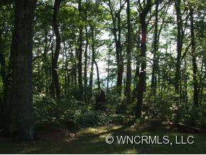 50 Raccoon Ridge Fairview, NC 28730 - Photo 24 of 24 Gallery Image 24
