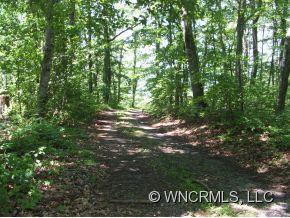 50 Raccoon Ridge Fairview, NC 28730 - Photo 4 of 24 Gallery Image 4