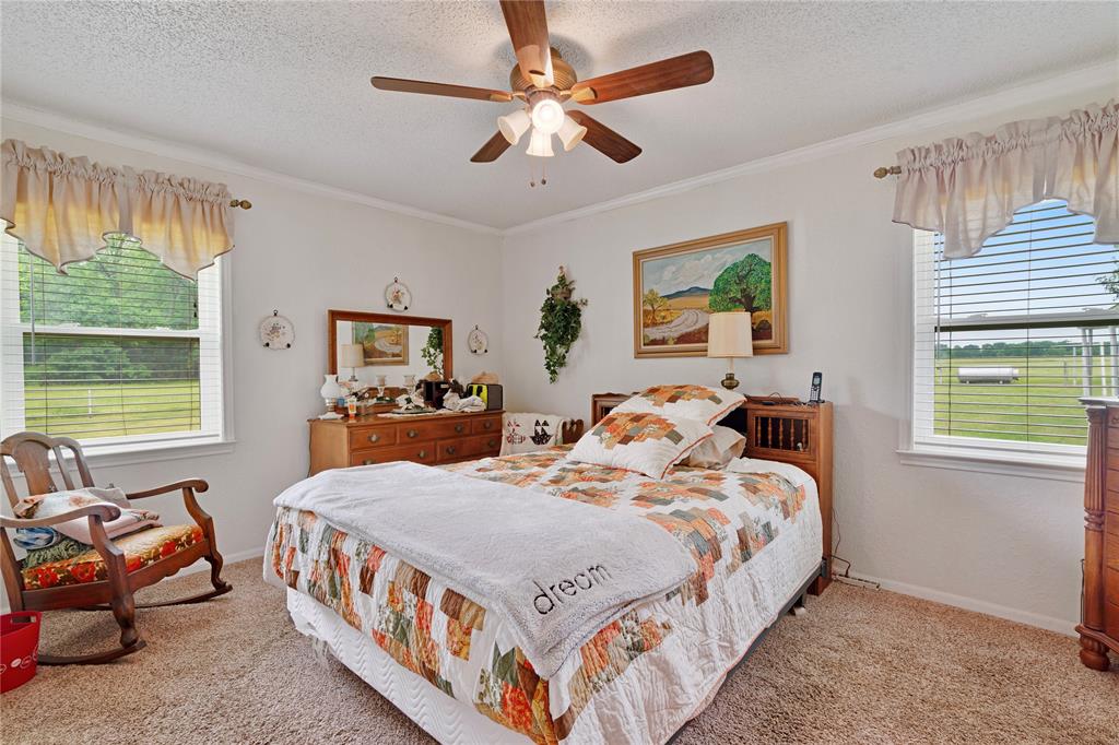 1355 County Road 33100 Sumner, TX 75486 - Photo 31 of 34 Bedroom with light carpet, multiple windows, ornamental molding, ceiling fan, and a textured ceiling