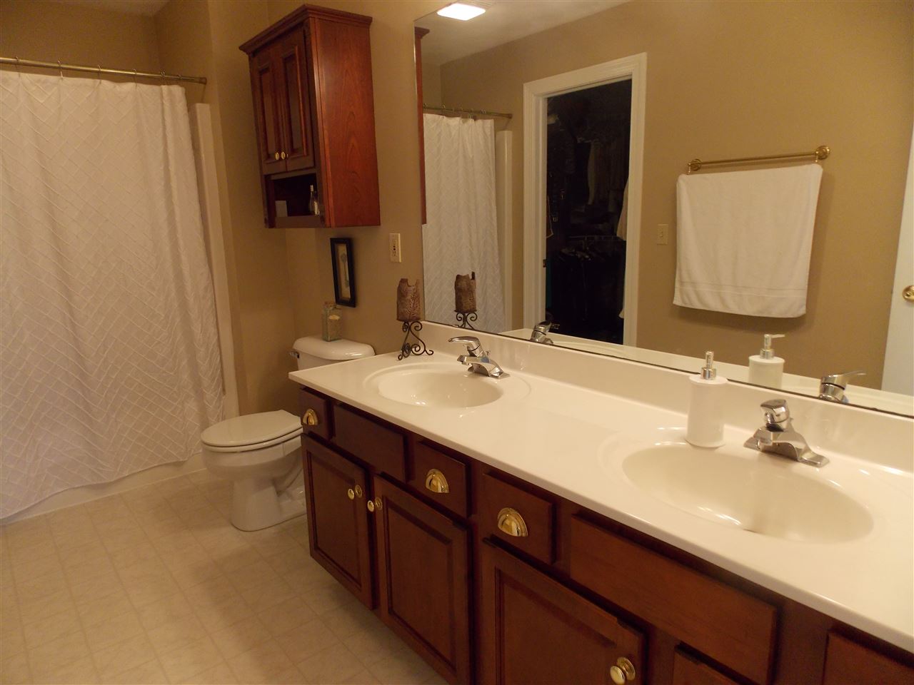 4373 Ridgeview Lane Byron, IL 61010 - Photo 16 of 22 a bathroom with a double vanity sink toilet and mirror