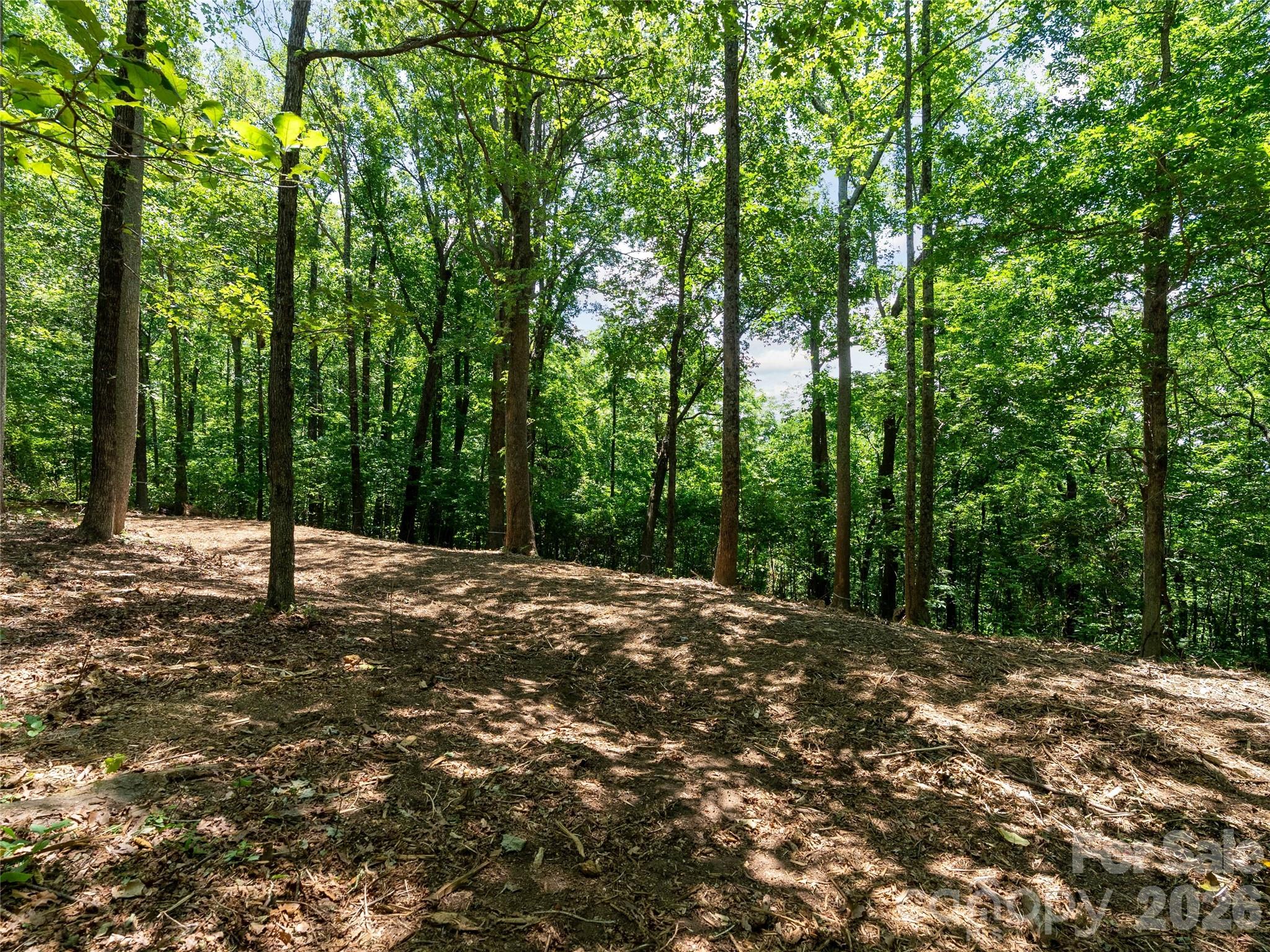 Lot 22 Plumley Summit Road, Unit 22 Landrum, SC 29356 - Photo 19 of 27