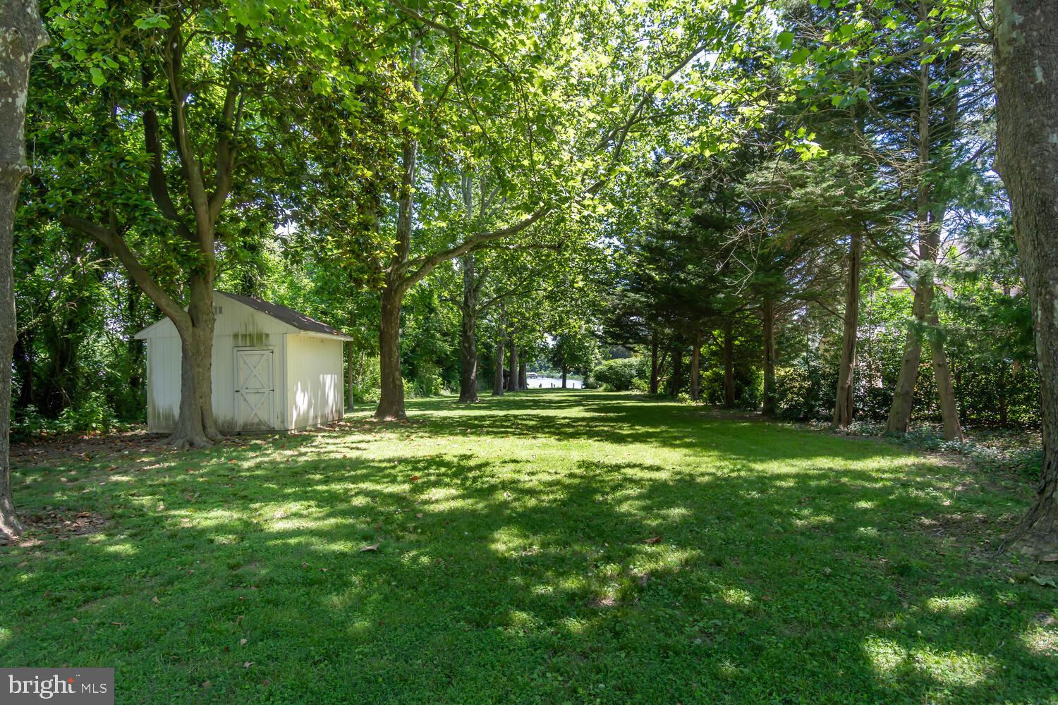 5533 Whitehall Road Cambridge, MD 21613 - Photo 37 of 38 Shed in rear yard