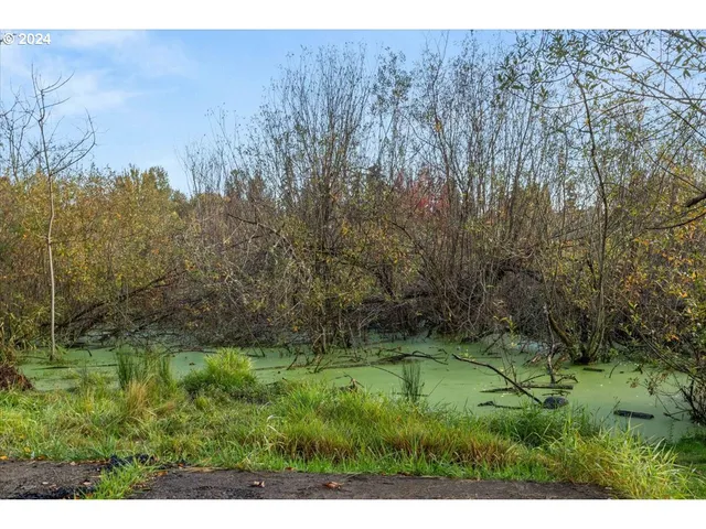 $250,000 | 4100 Arnold Street Northeast, Keizer, OR 97303