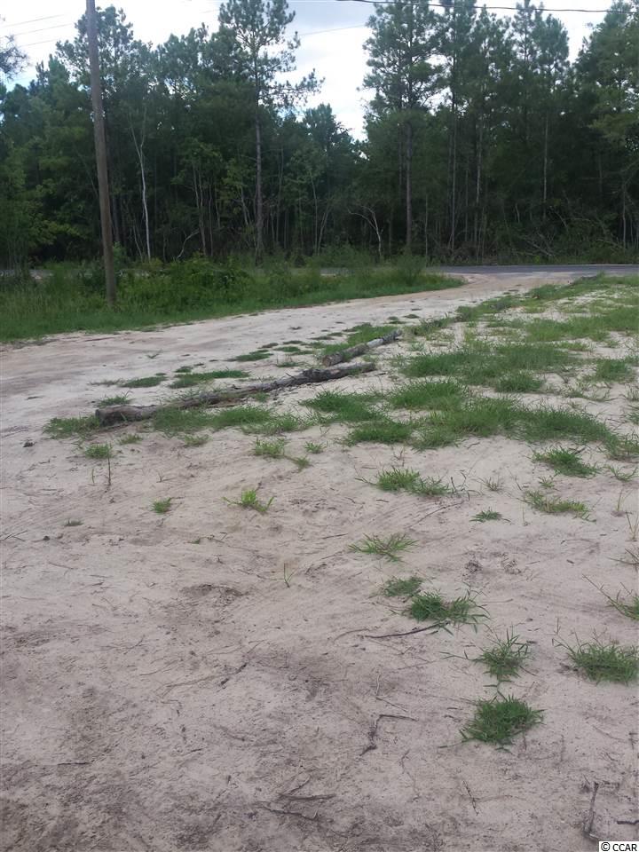 3090 Hugo Road Conway, SC 29527 - Photo 2 of 18