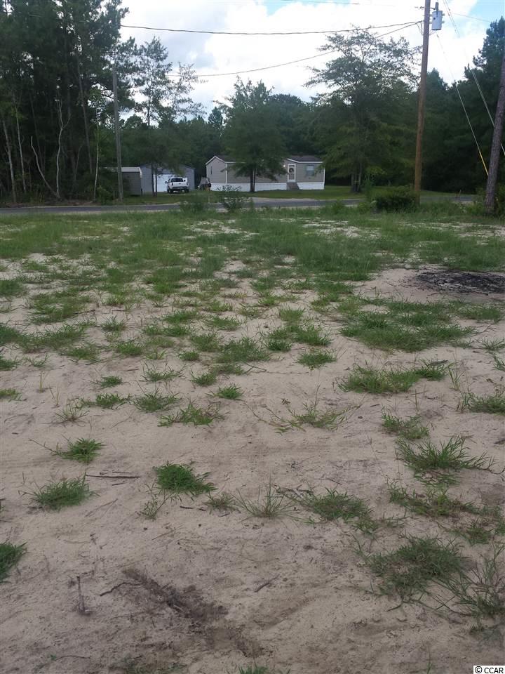 3090 Hugo Road Conway, SC 29527 - Photo 4 of 18