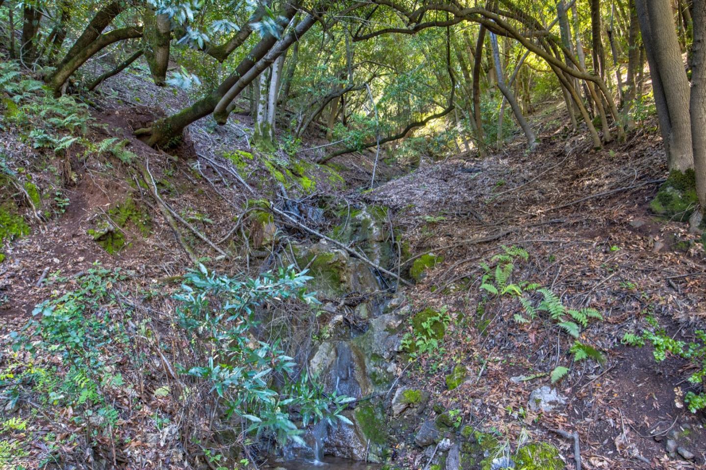 0 Montebello Road Cupertino, CA 95014 - Photo 16 of 19 a backyard of a house with lots of green space