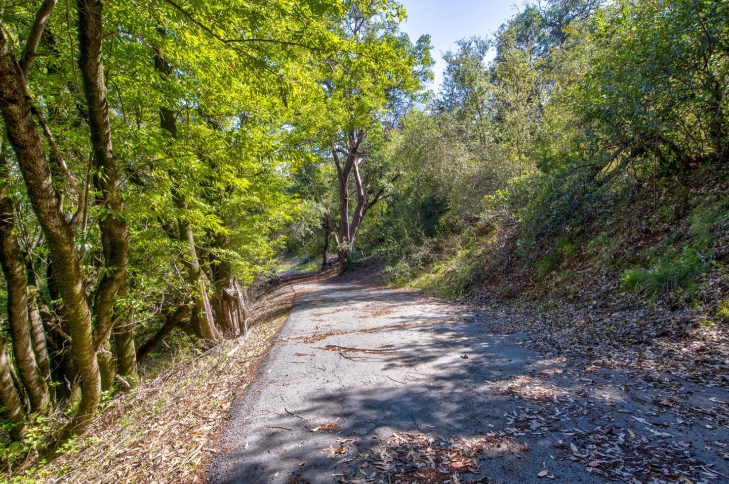 0 Montebello Road Cupertino, CA 95014 - Photo 19 of 36