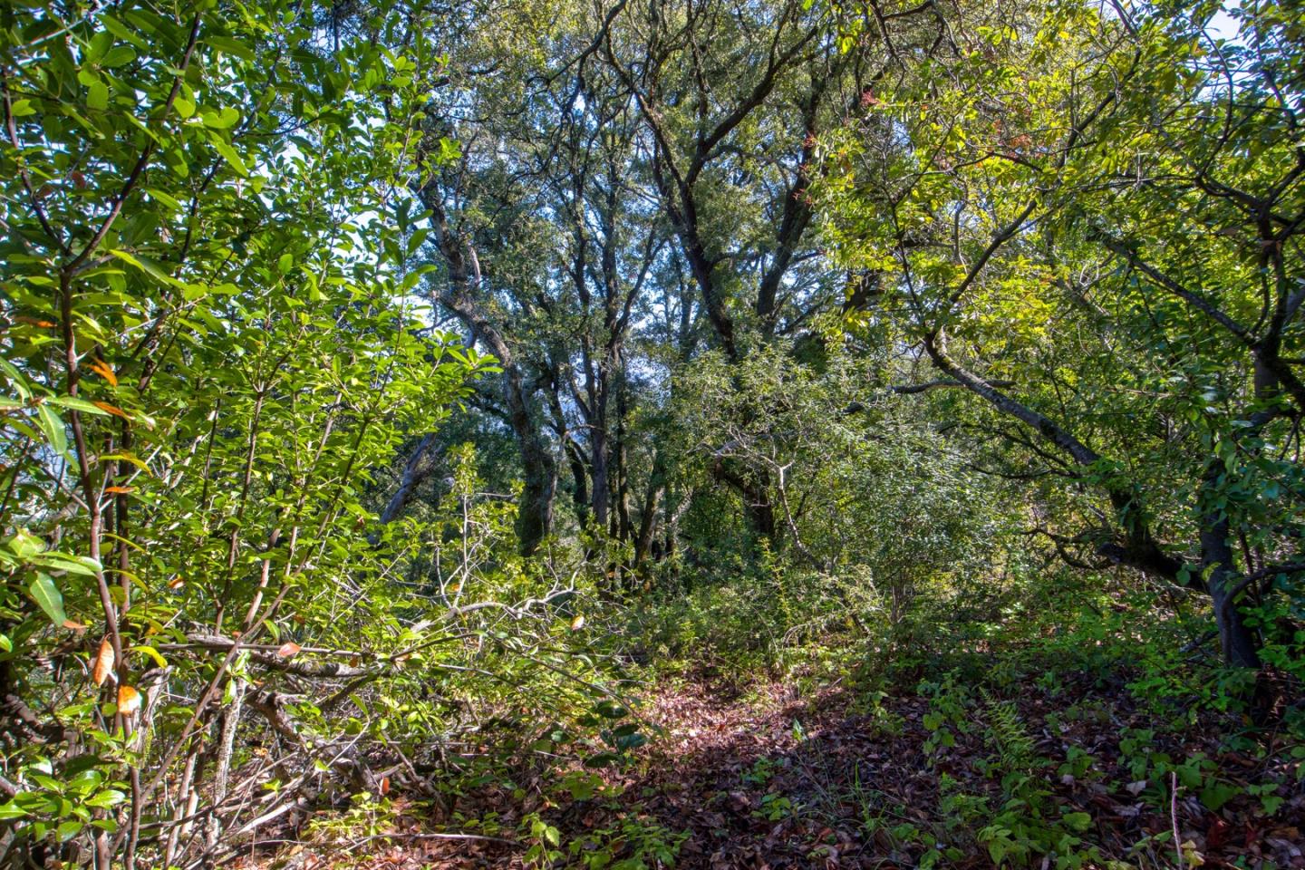 0 Montebello Road Cupertino, CA 95014 - Photo 25 of 36