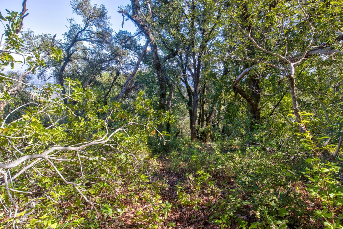 0 Montebello Road Cupertino, CA 95014 - Photo 26 of 36