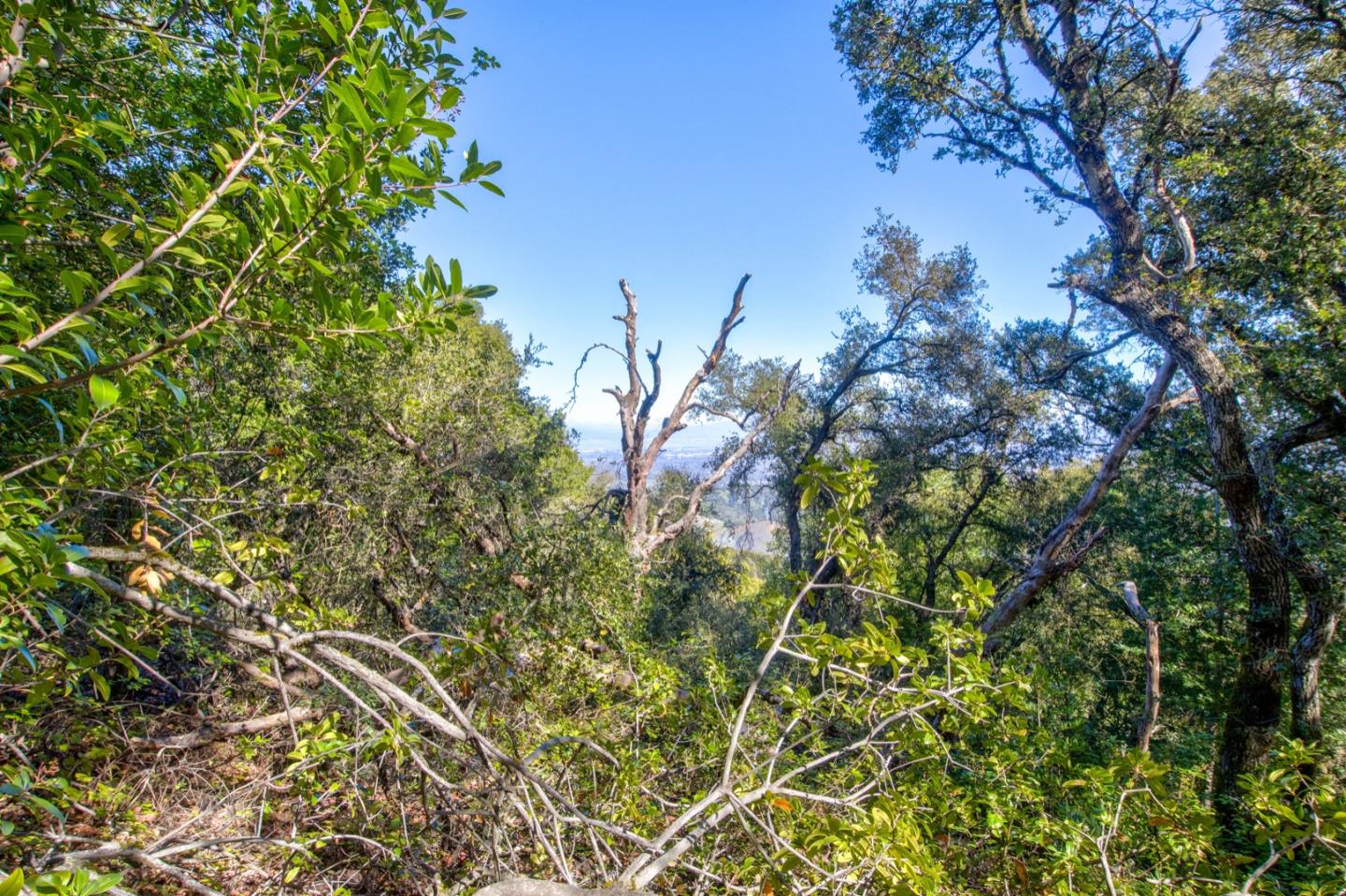 0 Montebello Road Cupertino, CA 95014 - Photo 27 of 36