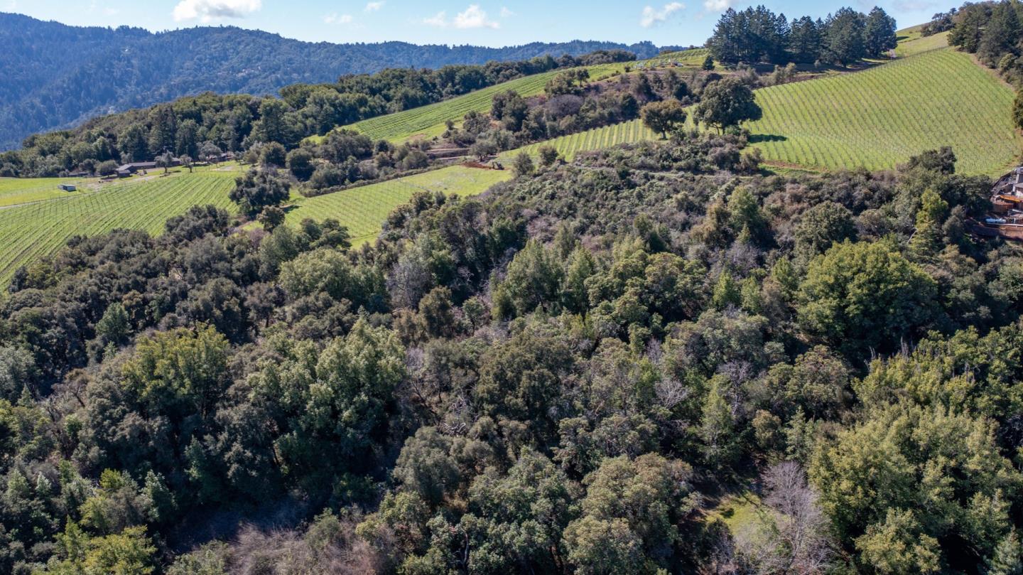 0 Montebello Road Cupertino, CA 95014 - Photo 10 of 36