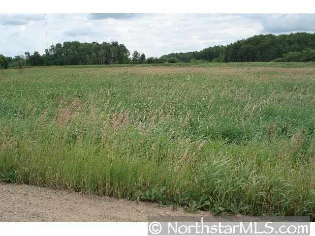 Xxx Clear Lake Road Avon, MN 56307 - Photo 3 of 3 Gallery Image 3