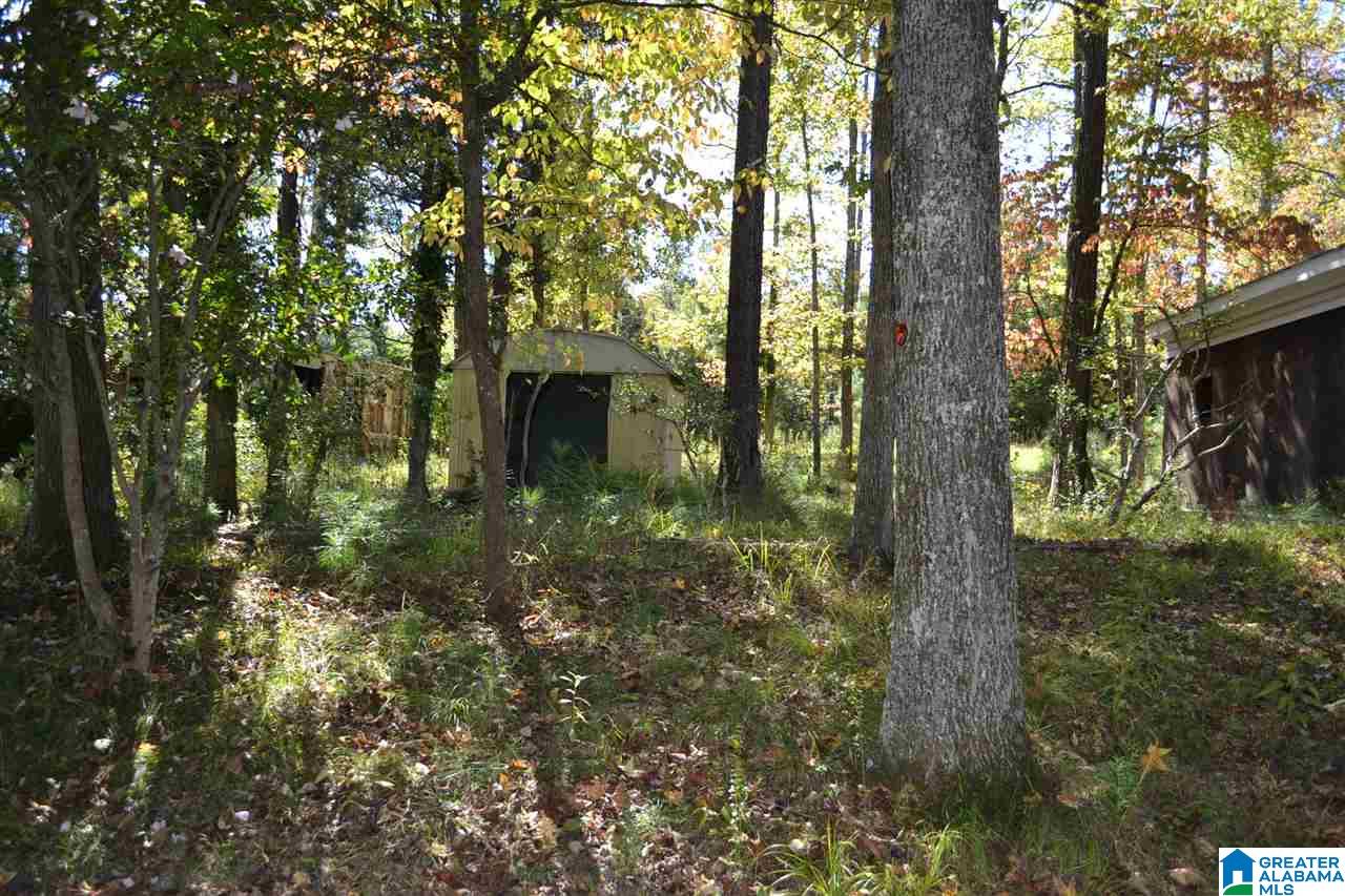 17871 Highway 75, Unit 5 7 ACRES Remlap, AL 35133 - Photo 18 of 23