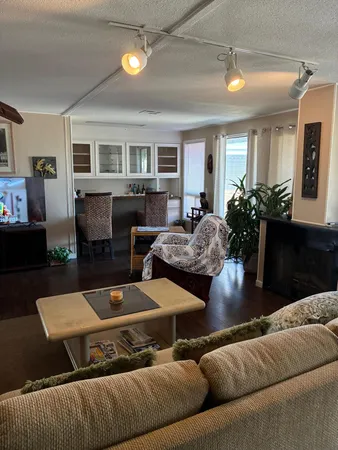 a living room with furniture potted plant and a window