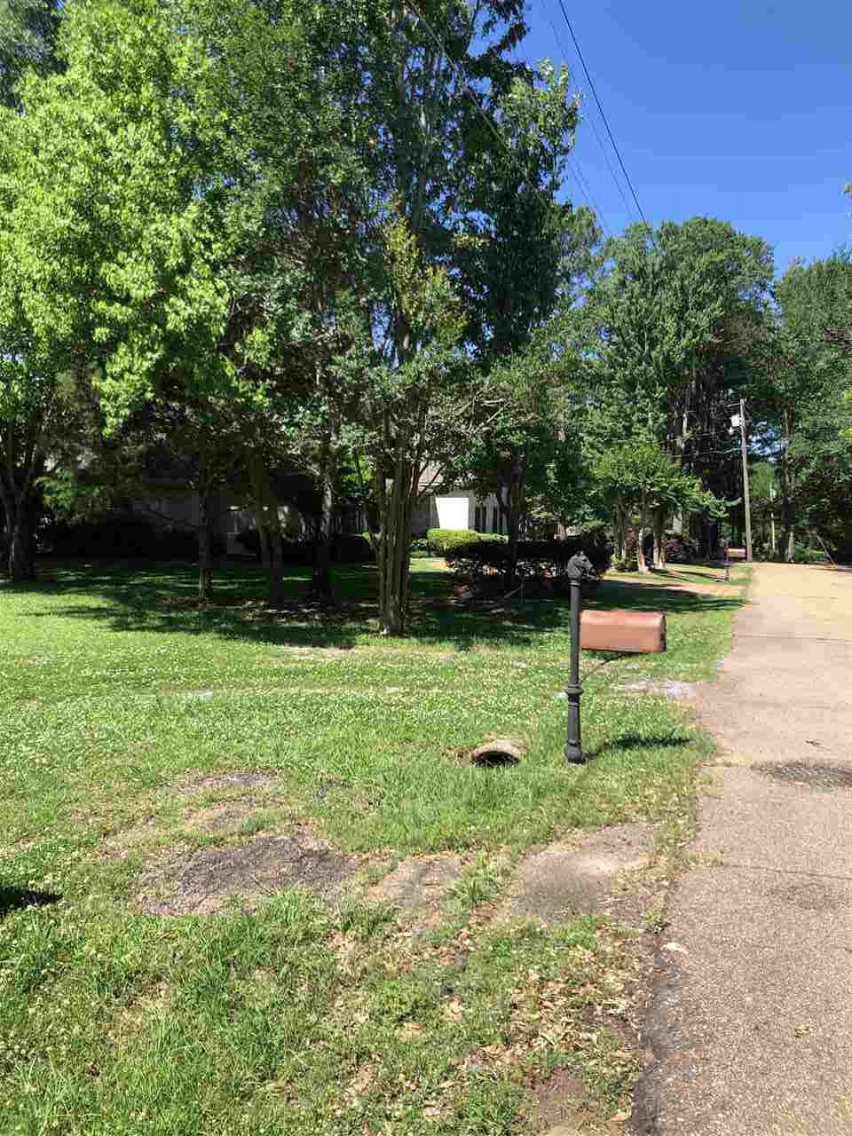 263 West Washington Street, Unit 2 Ridgeland, MS 39157 - Photo 1 of 4 Photo 1