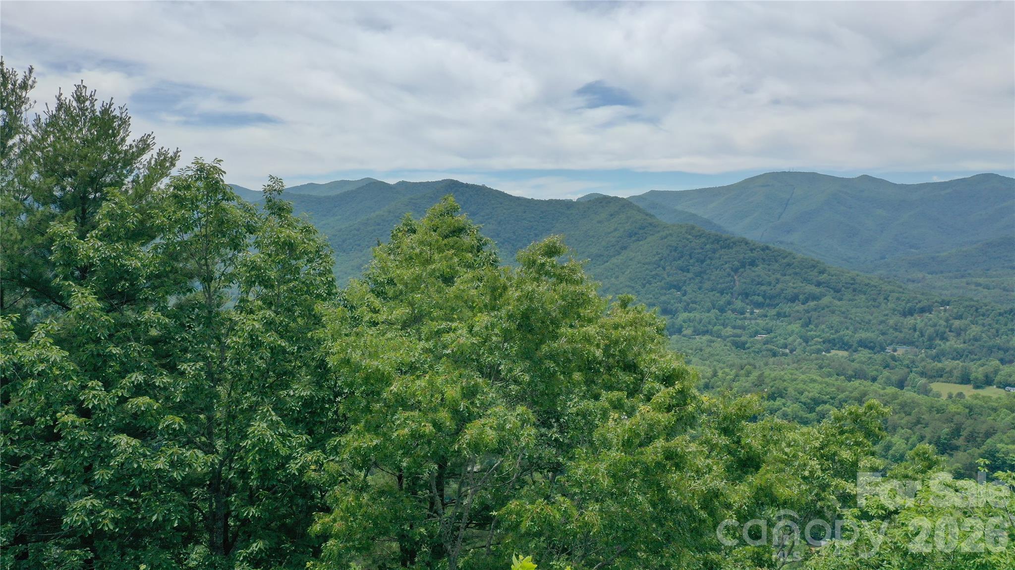112 Kako Ridge, Unit 59 Sylva, NC 28779 - Photo 3 of 18