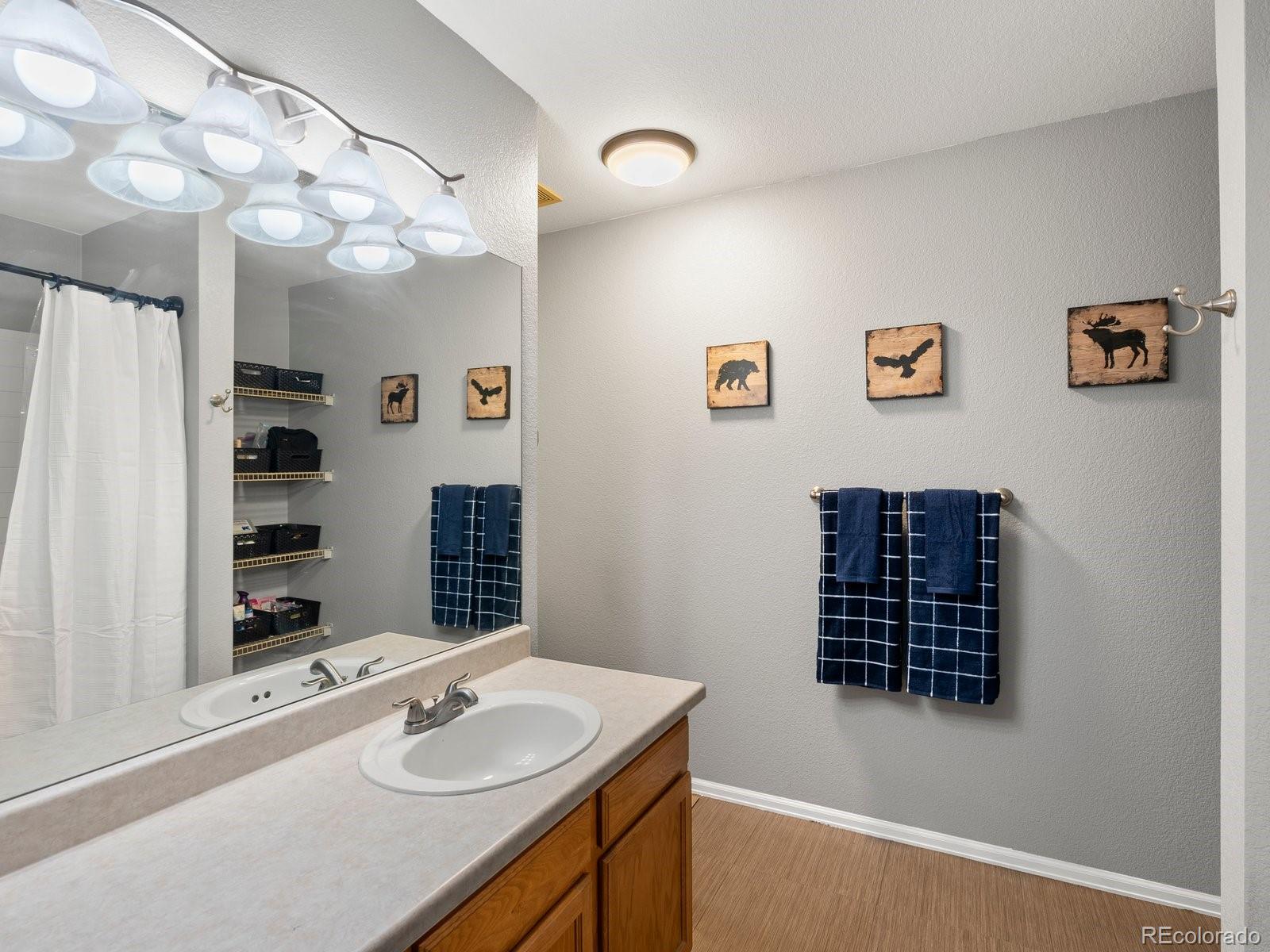 9657 Ironton Street Commerce City, CO 80022 - Photo 26 of 48 a bathroom with a sink a vanity and a shower