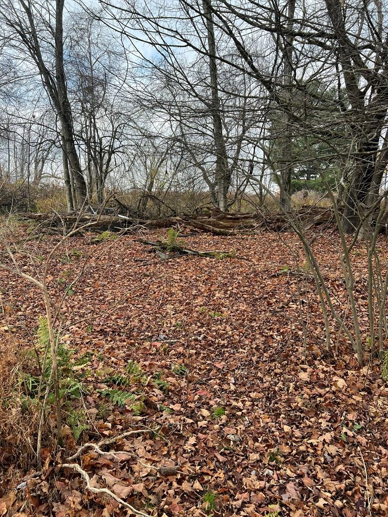 0 Big Bend Road Emlenton, PA 16373 - Photo 1 of 13 Gallery Image 1