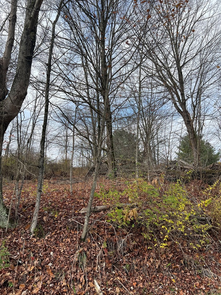 0 Big Bend Road Emlenton, PA 16373 - Photo 11 of 13 Gallery Image 11