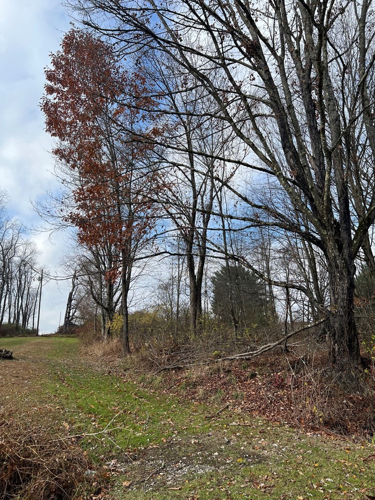 0 Big Bend Road Emlenton, PA 16373 - Photo 12 of 13 Gallery Image 12