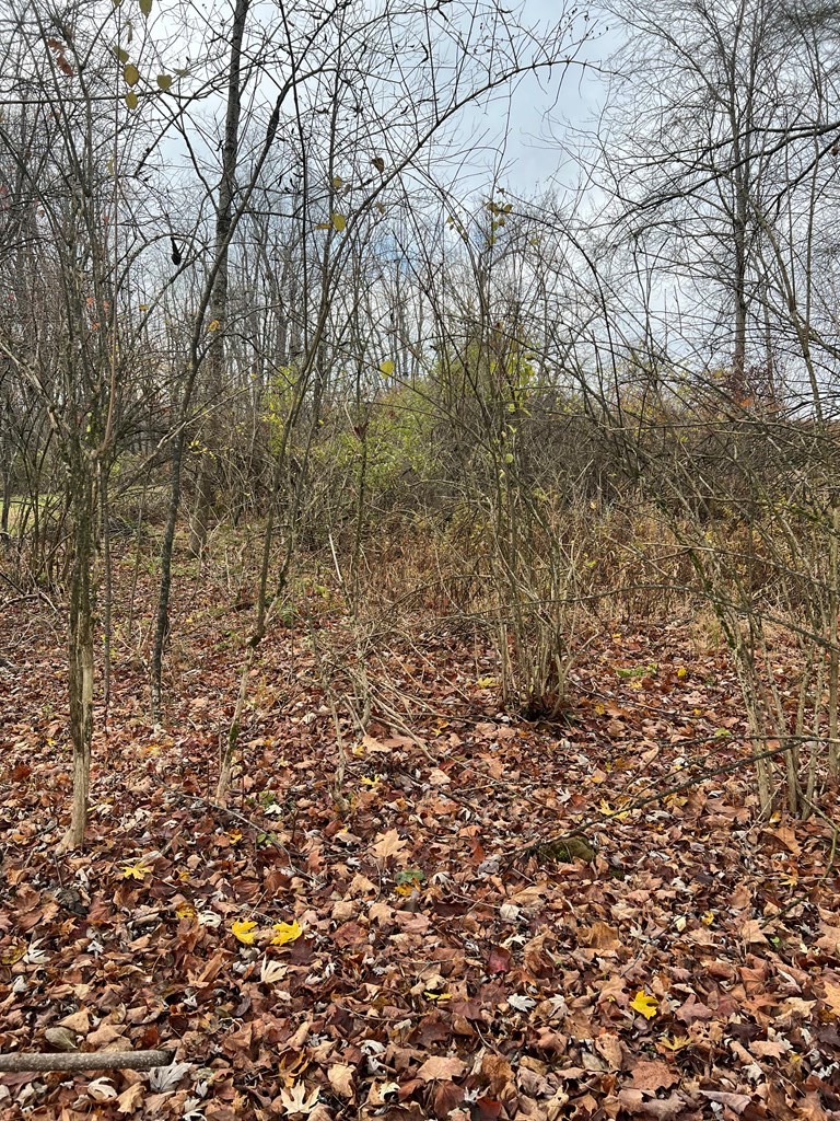 0 Big Bend Road Emlenton, PA 16373 - Photo 3 of 13 Gallery Image 3