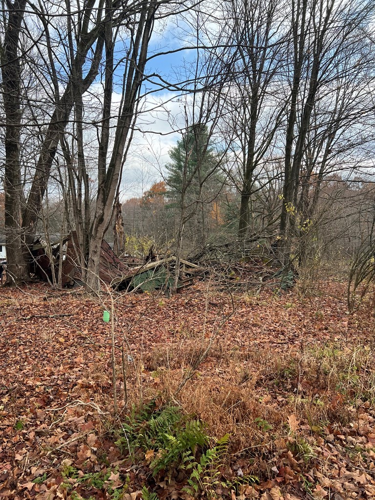 0 Big Bend Road Emlenton, PA 16373 - Photo 4 of 13 Gallery Image 4