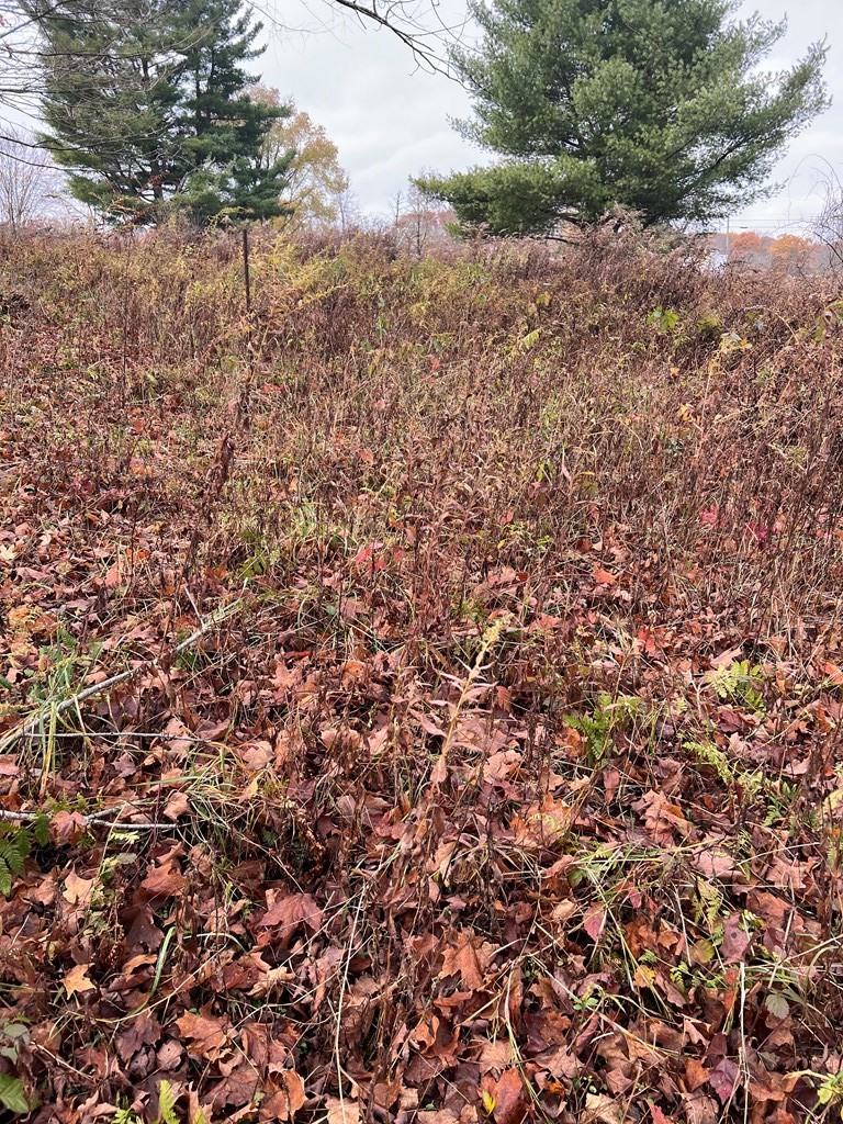 0 Big Bend Road Emlenton, PA 16373 - Photo 6 of 13 Gallery Image 6
