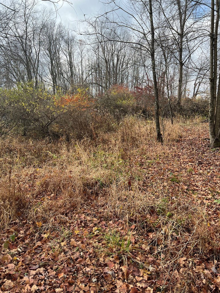 0 Big Bend Road Emlenton, PA 16373 - Photo 7 of 13 Gallery Image 7