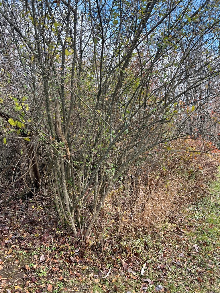 0 Big Bend Road Emlenton, PA 16373 - Photo 10 of 13 Gallery Image 10