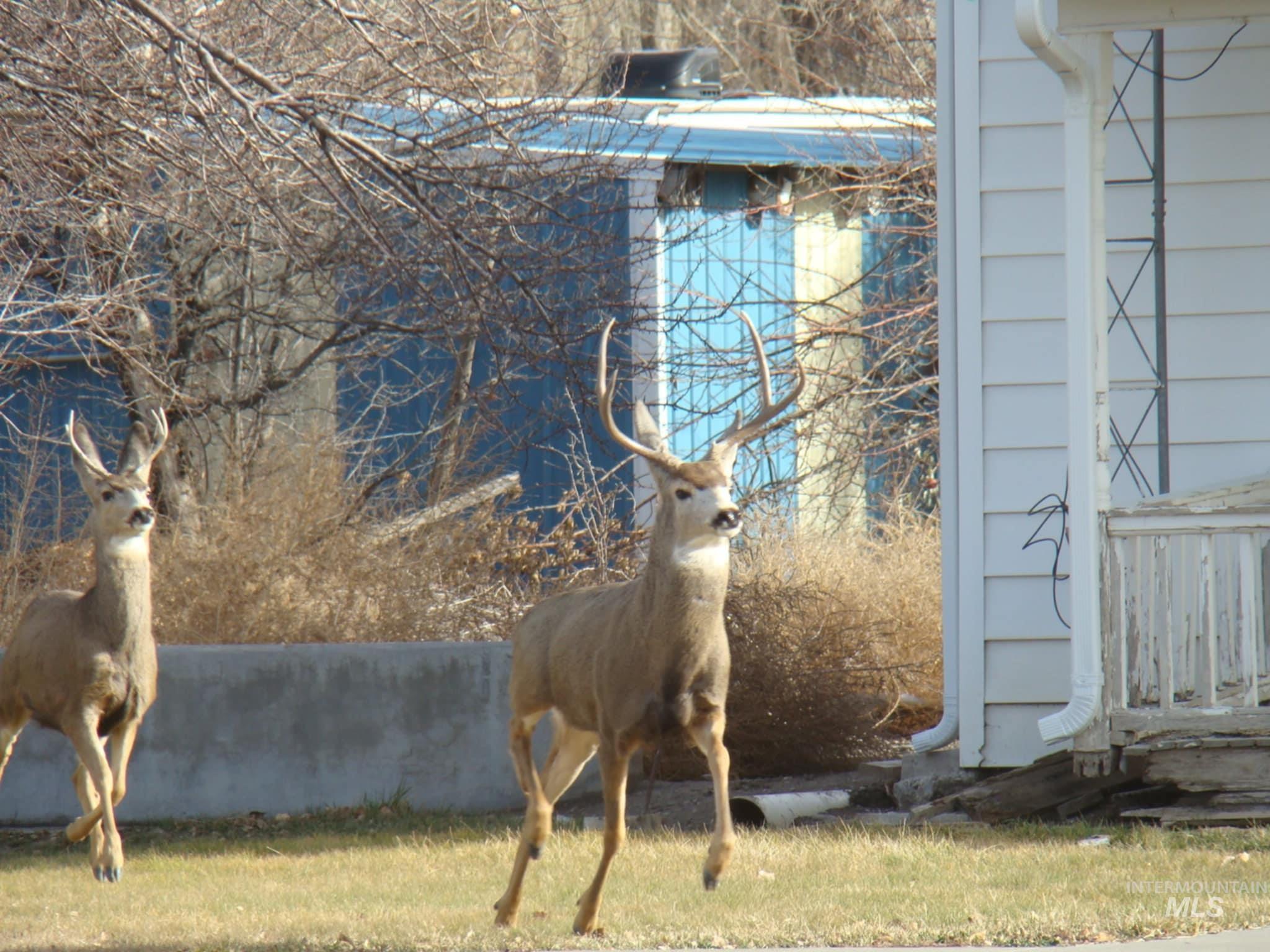 145 North Lincoln Avenue Oakley, ID 83346 - Photo 33 of 48 Exterior view