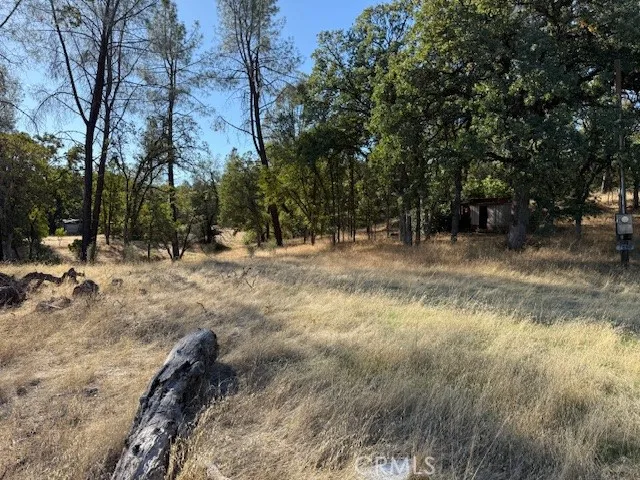 a view of outdoor space with trees