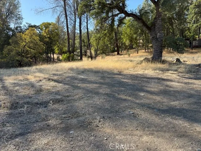 a view of a yard with snow