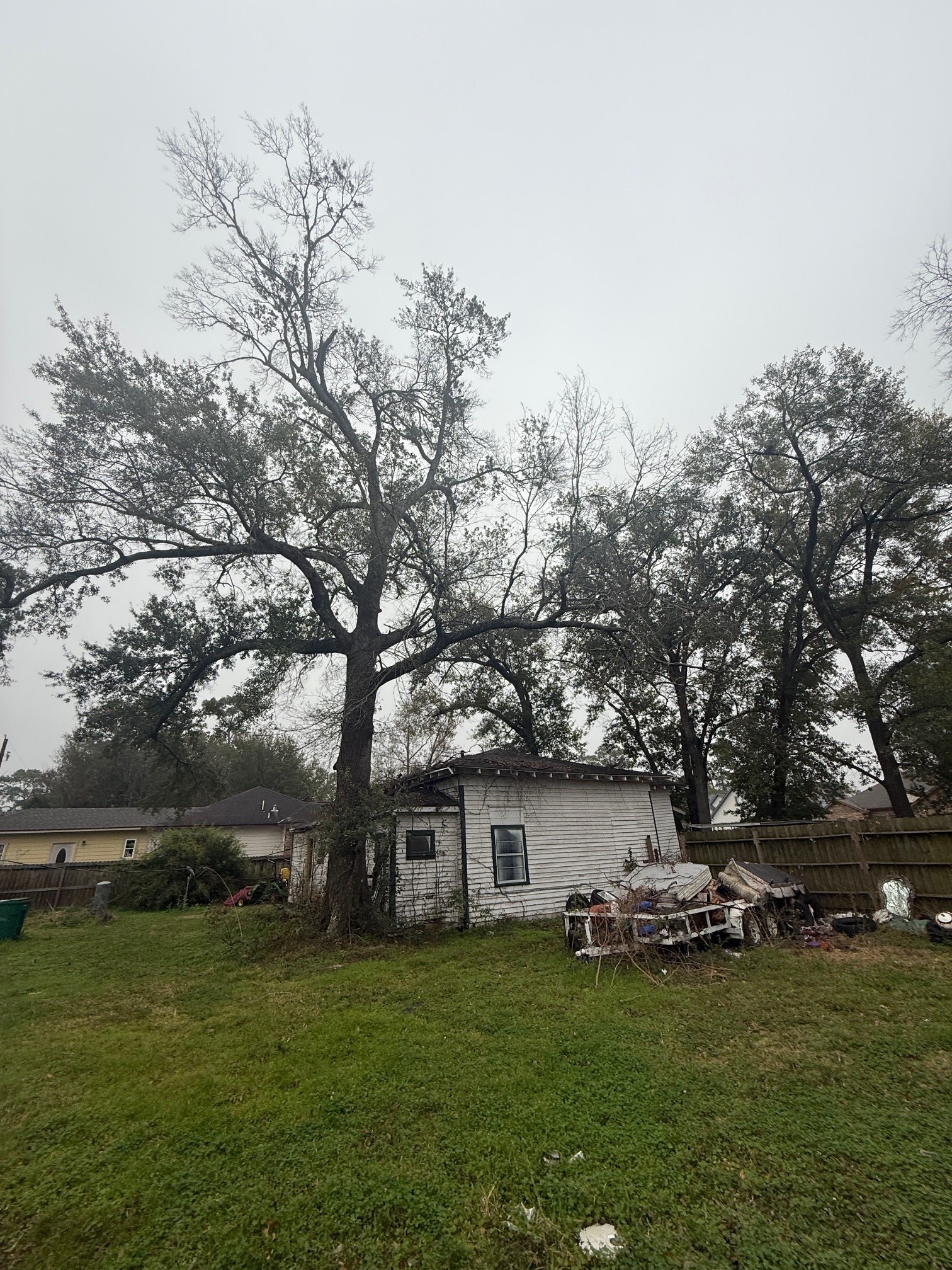 2630 Carmel Street Houston, TX 77091 - Photo 7 of 11 a fire hydrant in the middle of a field