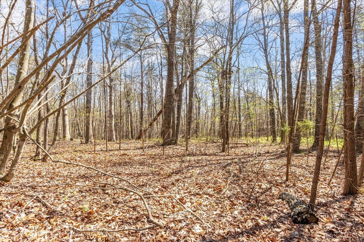 255 Bible Gulf Road Menlo, GA 30731 - Photo 16 of 35 20250409143915327472000000-o