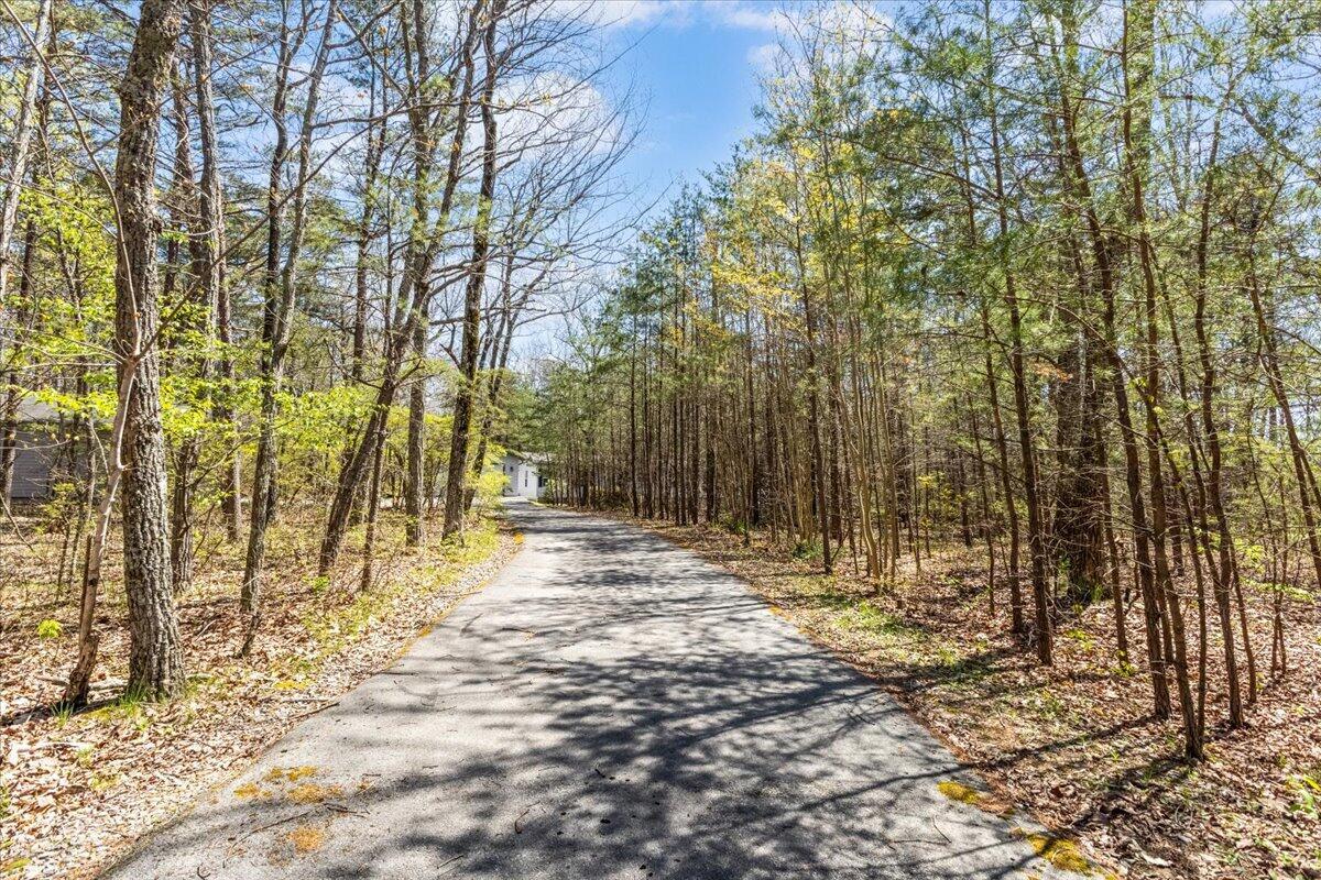 255 Bible Gulf Road Menlo, GA 30731 - Photo 6 of 35 20250409143930268960000000-o