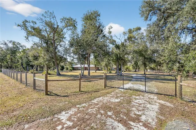 a living room with furniture ceiling fan and a rug