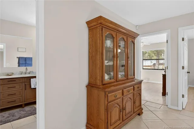 a view of a plant in a garden