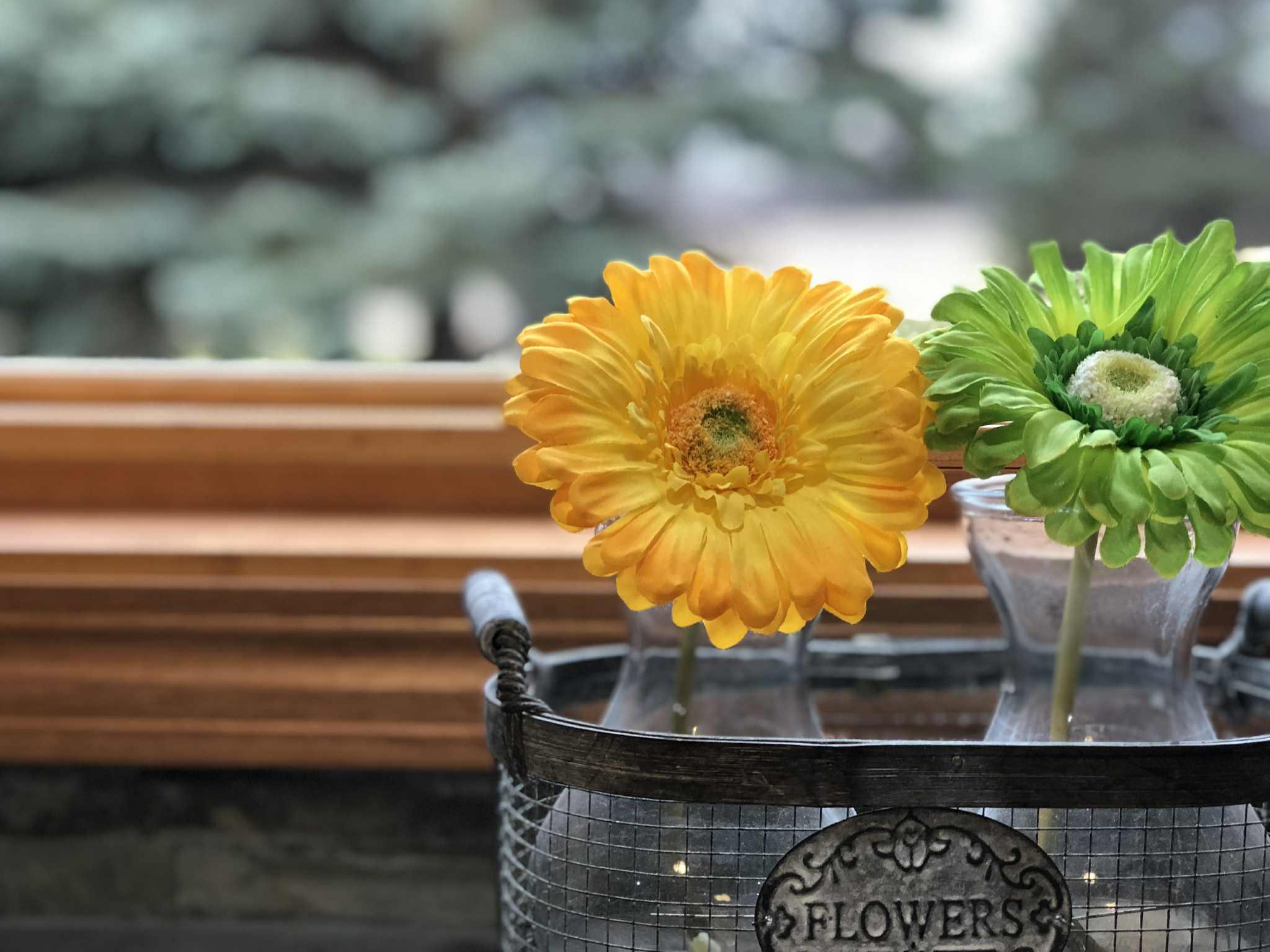 21335 Halstad Lake Road Detroit Lakes, MN 56501 - Photo 31 of 49