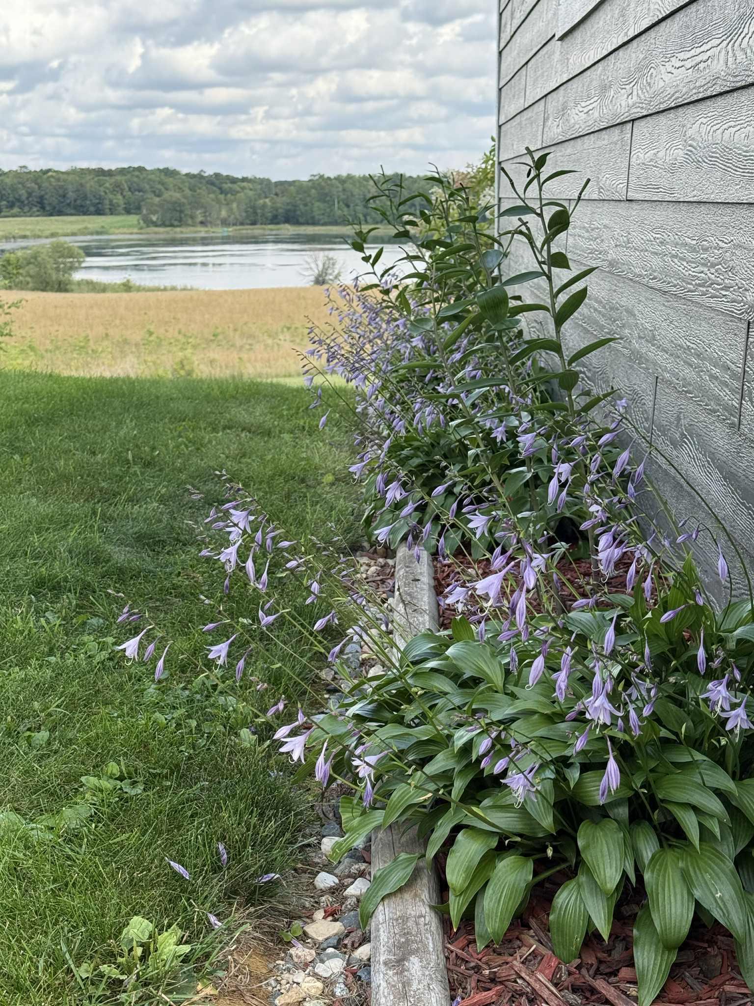 21335 Halstad Lake Road Detroit Lakes, MN 56501 - Photo 47 of 49