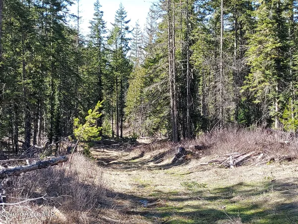 $140,000 | 574 Dorning Drive, St. Maries, ID 83861