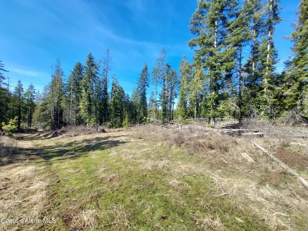 $140,000 | 574 Dorning Drive, St. Maries, ID 83861